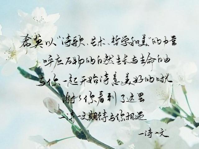 2024年全国网络法治宣传优秀案例